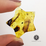 Natural Amber Star Shape Cabochon With Insects