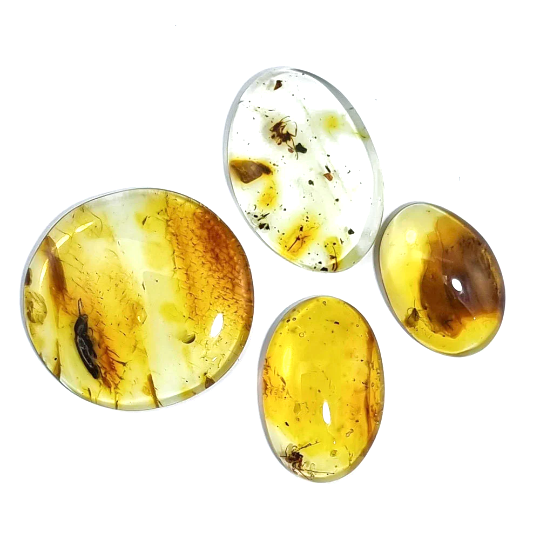 Baltic Amber Free Shape Cabochon With Insects