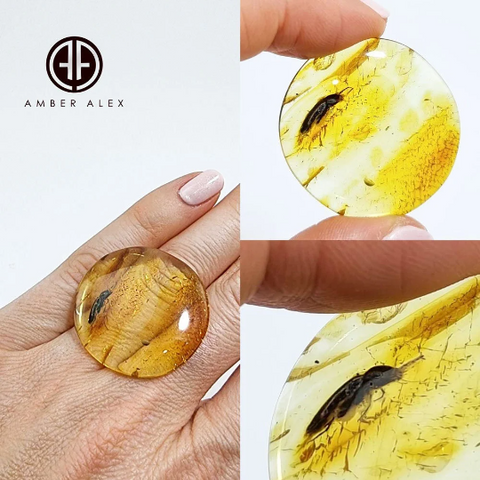 Baltic Amber Free Shape Cabochon With Insects