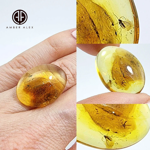 Baltic Amber Free Shape Cabochon With Insects