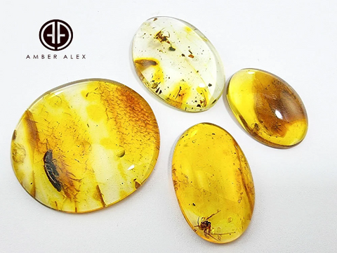 Baltic Amber Free Shape Cabochon With Insects