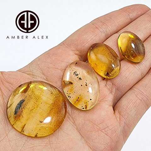 Baltic Amber Free Shape Cabochon With Insects