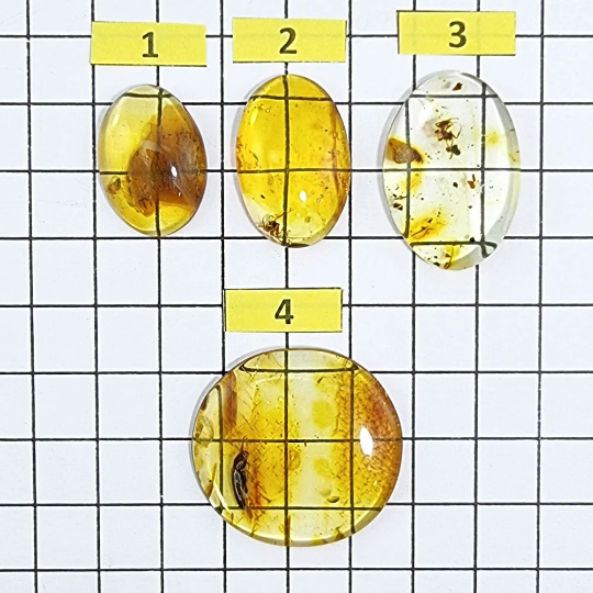 Baltic Amber Free Shape Cabochon With Insects