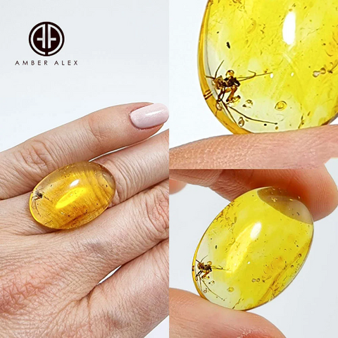 Baltic Amber Free Shape Cabochon With Insects