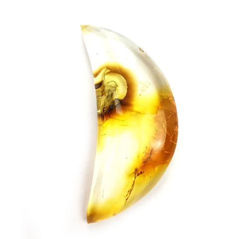 Natural Amber Moon Shape Cabochon With Insects