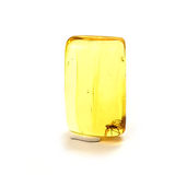 Natural Amber Free Rectangular Shape Cabochon With Insects