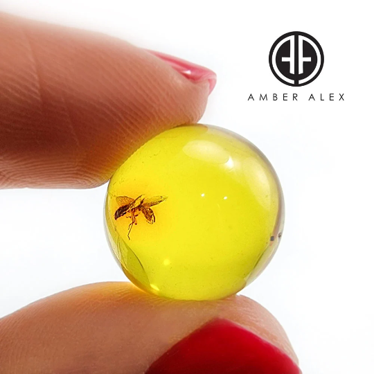 Natural Amber Ball Shape Stone With Insects