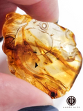 Fossil Amber Carved Horses Cabochons
