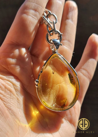 Lemon Amber Drop Shape Pendant Sterling Silver With Insect