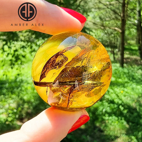 Natural Baltic Amber Sphere Ball Stone