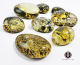 "Earth Stone" Green Amber Free Shape Cabochons