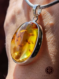 Natural Amber Free Shape Pendant Sterling Silver With Insect