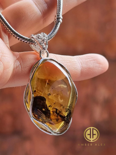 Baltic Amber Turtle Sterling Silver Pendant - Cast a Stone
