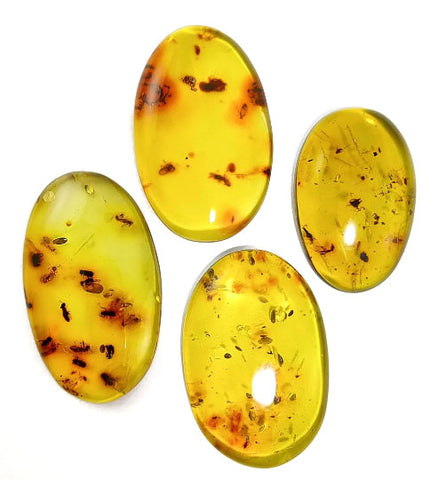 Green Amber Free Shape Cabochons With Insects