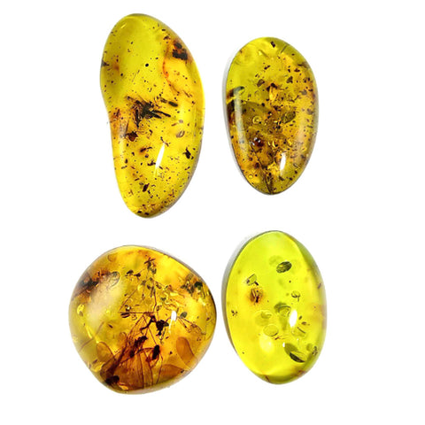 Green Amber Free Shape Cabochons With Insects