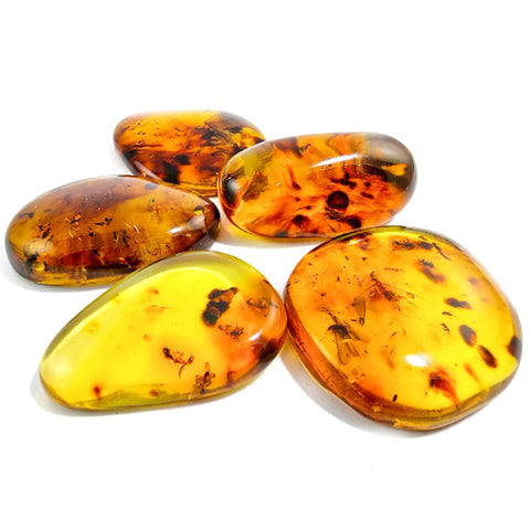 Natural Amber Free Shape Cabochons With Insects