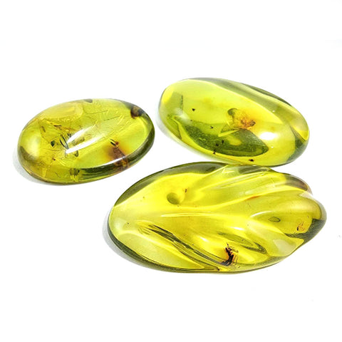 Green Amber Free Shape Cabochons With Insects