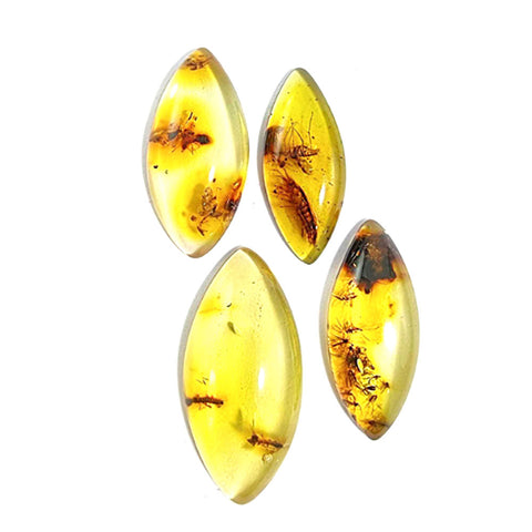 Natural Amber Marquise Shape Cabochon With Insects